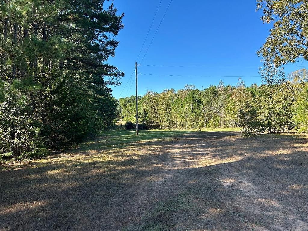 320 County Road 2114 Douglassville, TX 75560 - Thumbnail 5