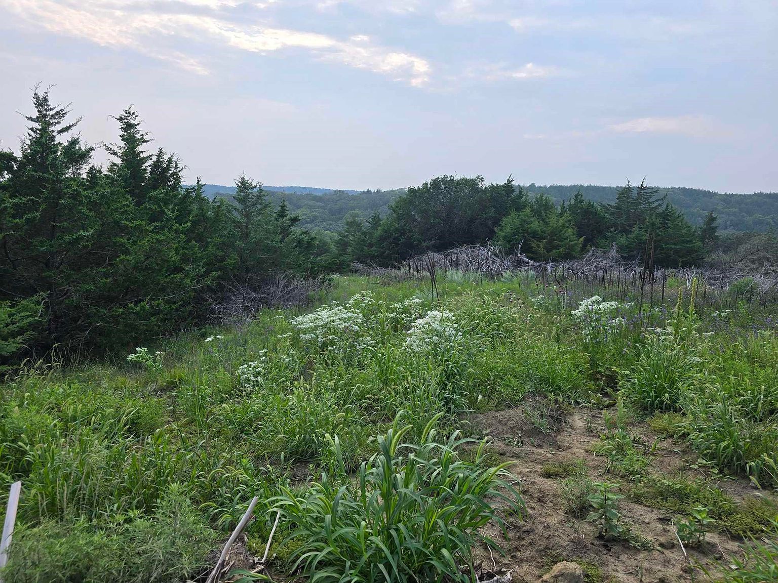 43353 311th St Yankton, SD 57078 - Thumbnail 5