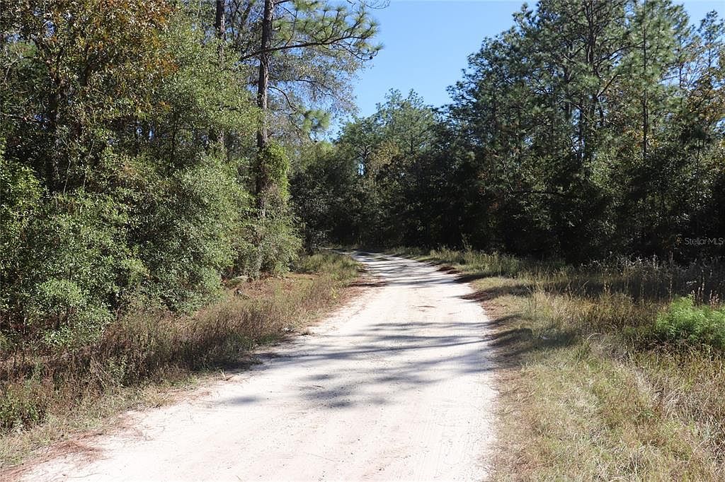 SW 131st Cir LOT 11 Ocala, FL 34481 - Thumbnail 5