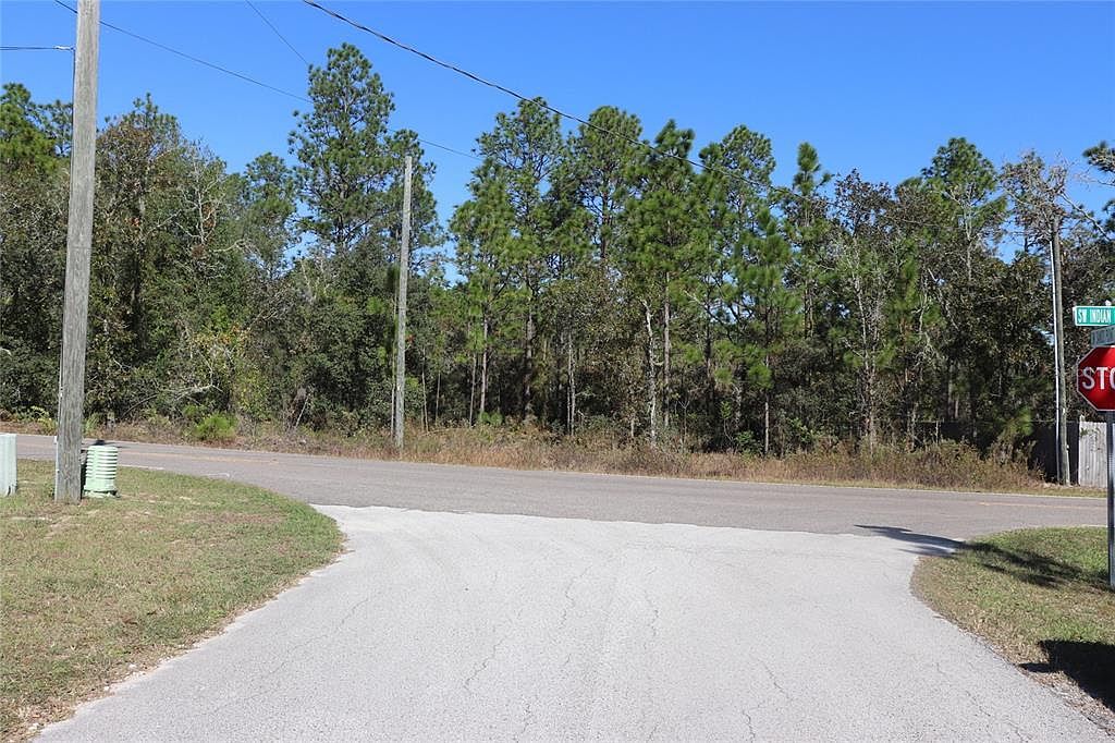 SW Indian Hill Dr LOT 15 Dunnellon, FL 34431 - Thumbnail 5