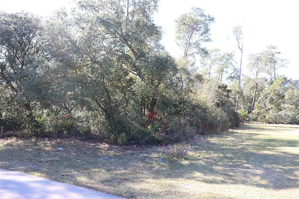 Marion Oaks Golf Rd LOT 35 Ocala, FL 34473 - Thumbnail 5