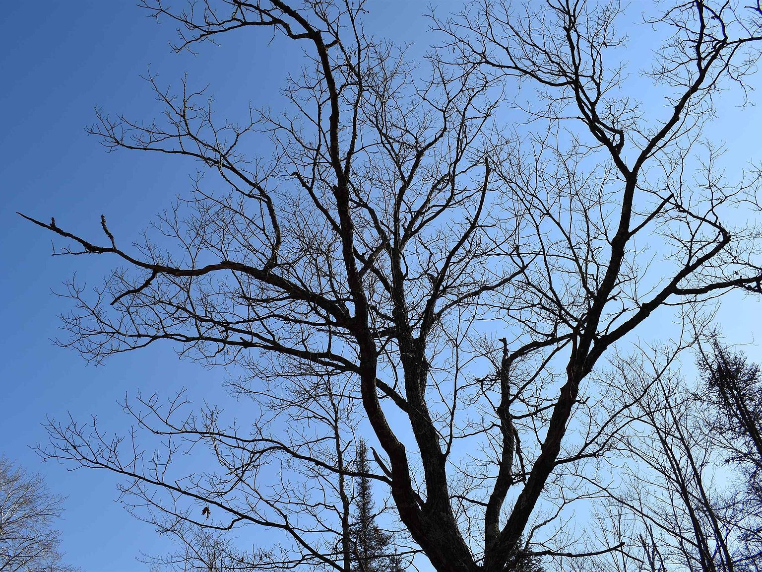 60 Andrew Anderson Rd Mason, WI 54856 - Thumbnail 5