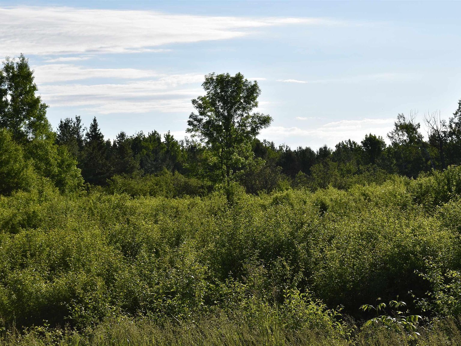 20XX Ellis Ave Ashland, WI 54806 - Thumbnail 5