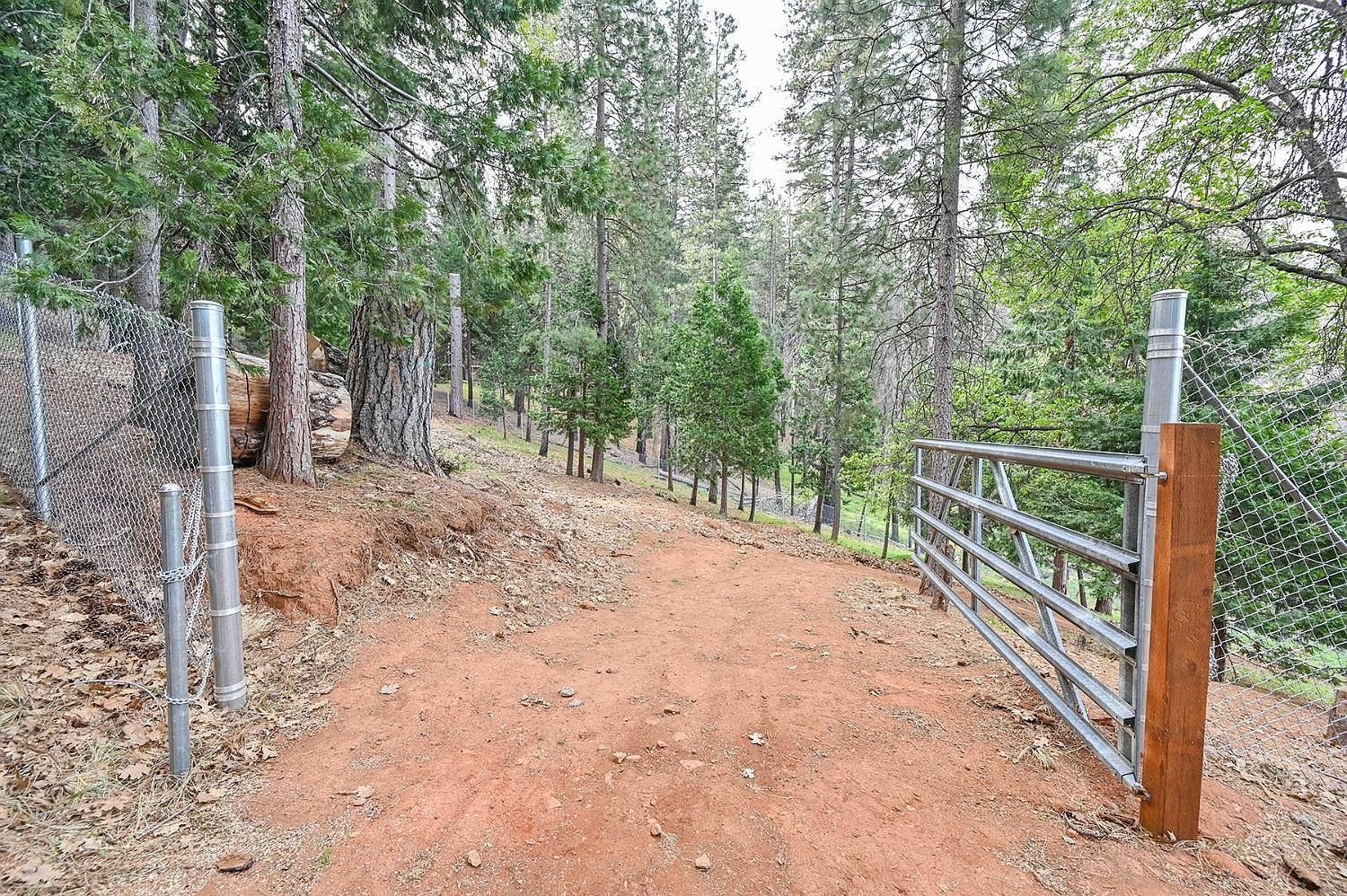 5194 Woodhaven Dr Grizzly Flats, CA 95636 - Thumbnail 5