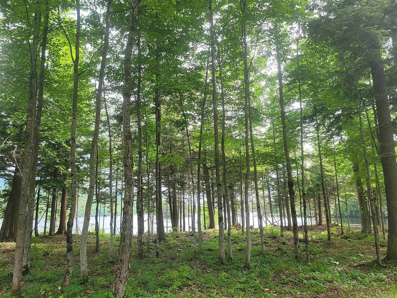 0 Hurricane Rd Norton, VT 05907 - Thumbnail 5