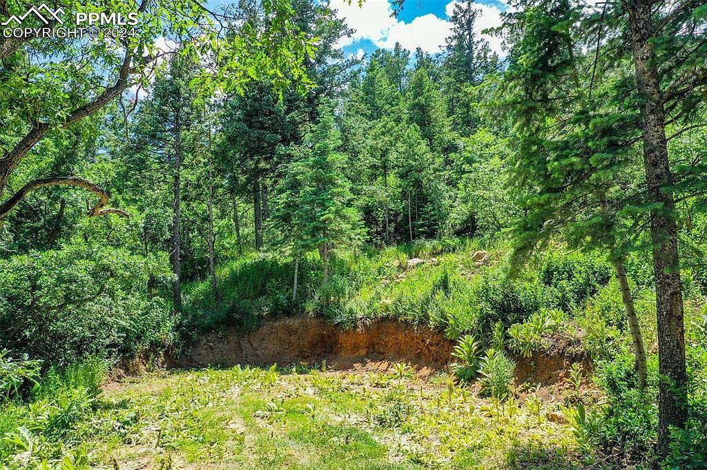 0 Pine Ln Colorado Springs, CO 80906 - Thumbnail 5