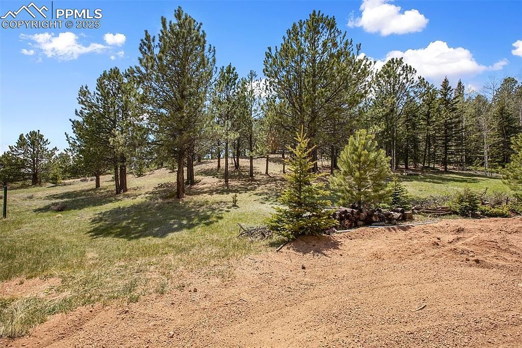 1011 W Bison Creek Trl Divide, CO 80814 - Thumbnail 5
