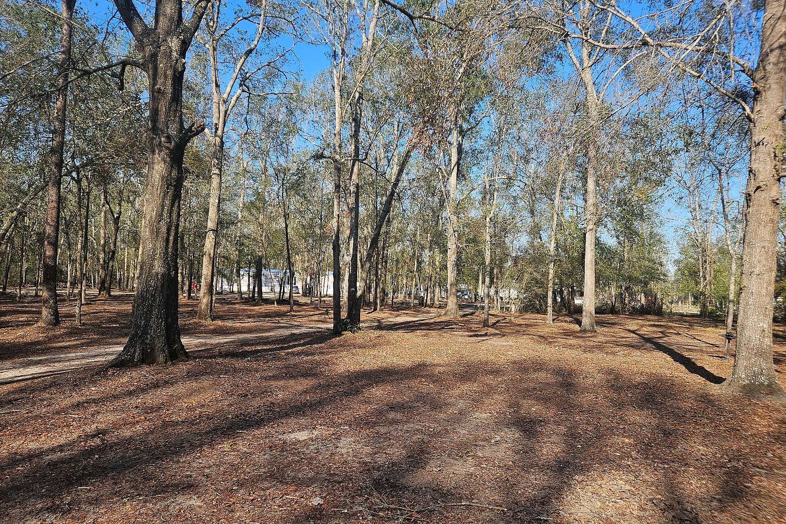 699 NE Hillside Ter Lee, FL 32059 - Thumbnail 5