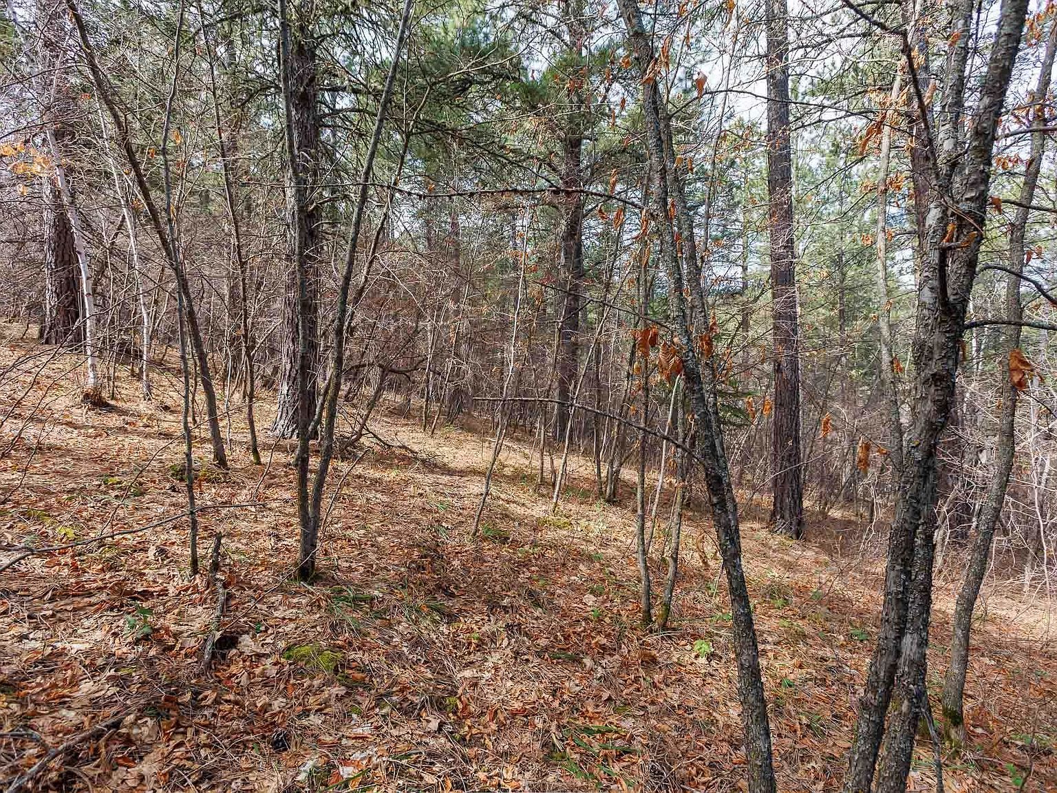 2203 Pasque Loop Spearfish, SD 57783 - Thumbnail 5