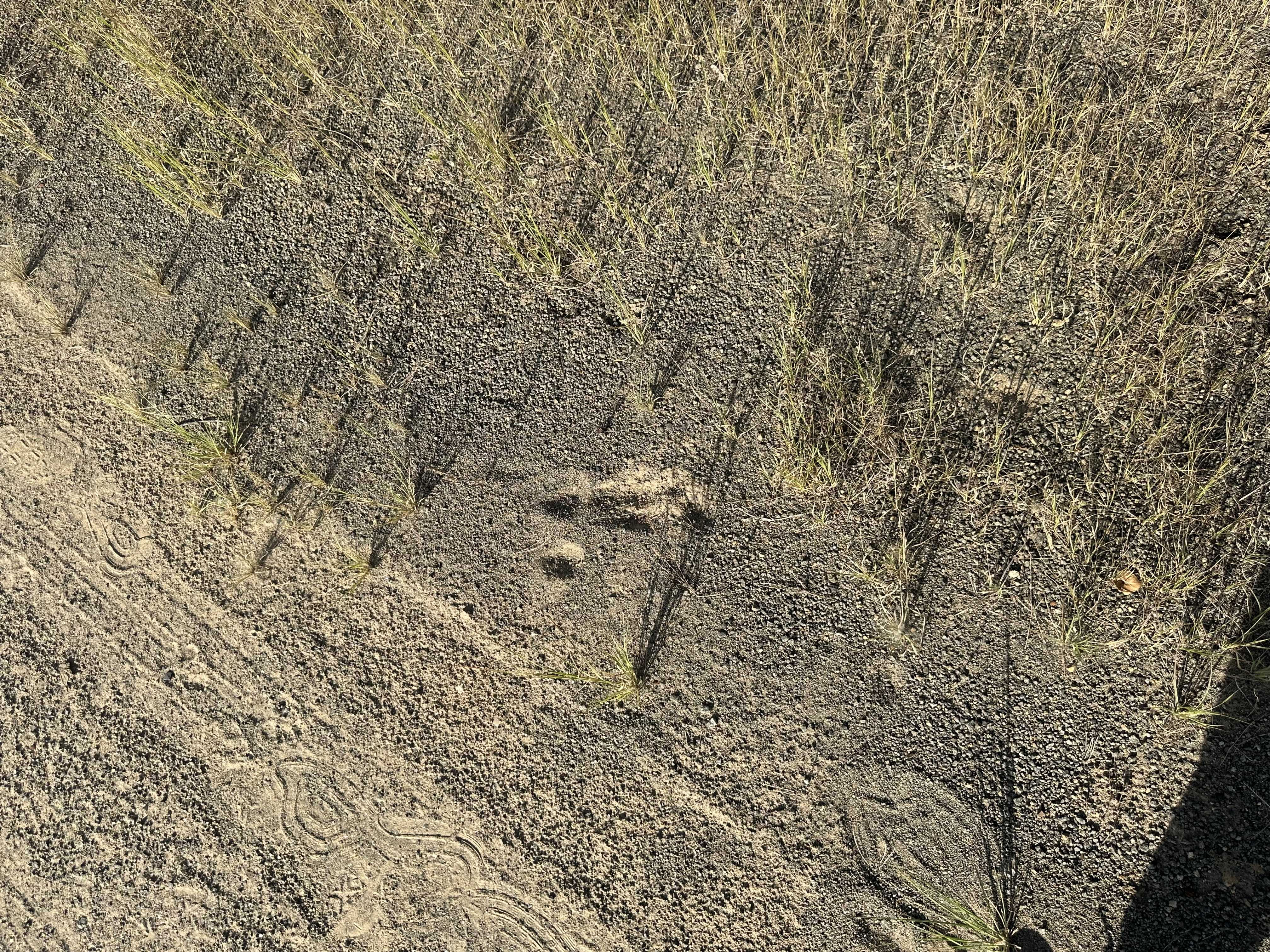 635 County Road 843, Cushing, TX, USA, 75760 - Thumbnail 5