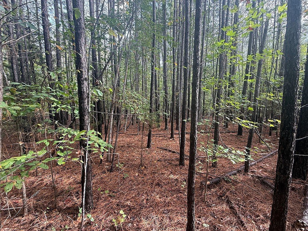 Westpoint Stevens Rd #10, Drakes Branch, VA, 23937 - Thumbnail 5