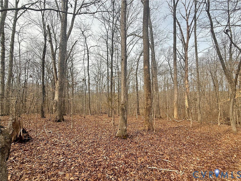 62 Willis Bluff Ln Cumberland, VA 23040 - Thumbnail 5