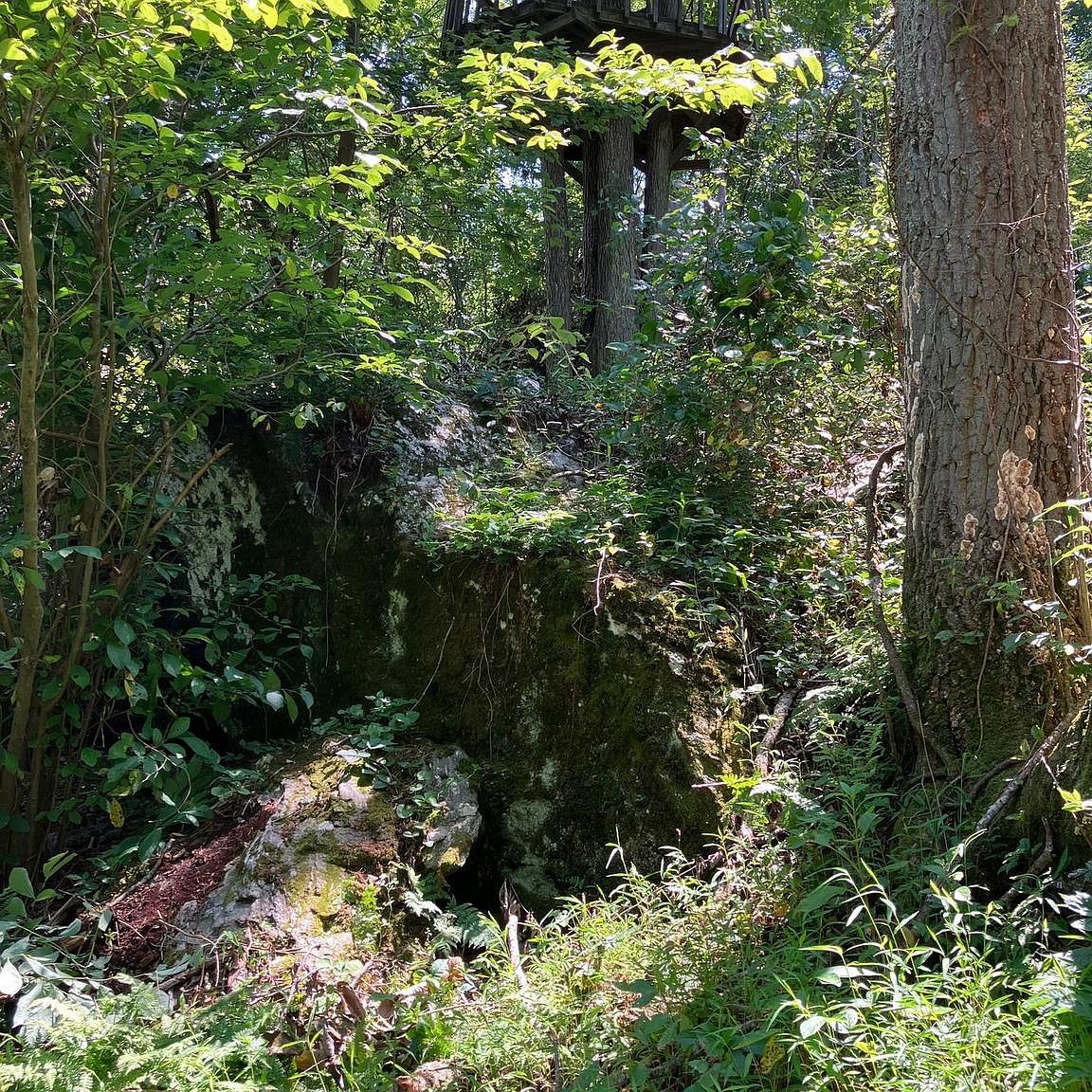 Coon Club Rd Hampstead, MD 21074 - Thumbnail 5