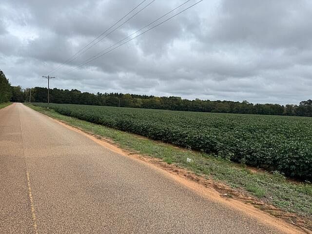 Tiverton Church Rd Wedgefield, SC 29168 - Thumbnail 5