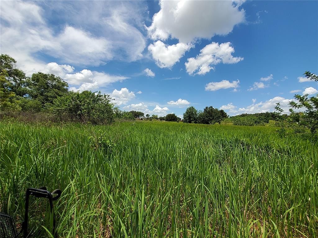 Woodland Ave Lakeland, FL 33801 - Thumbnail 5