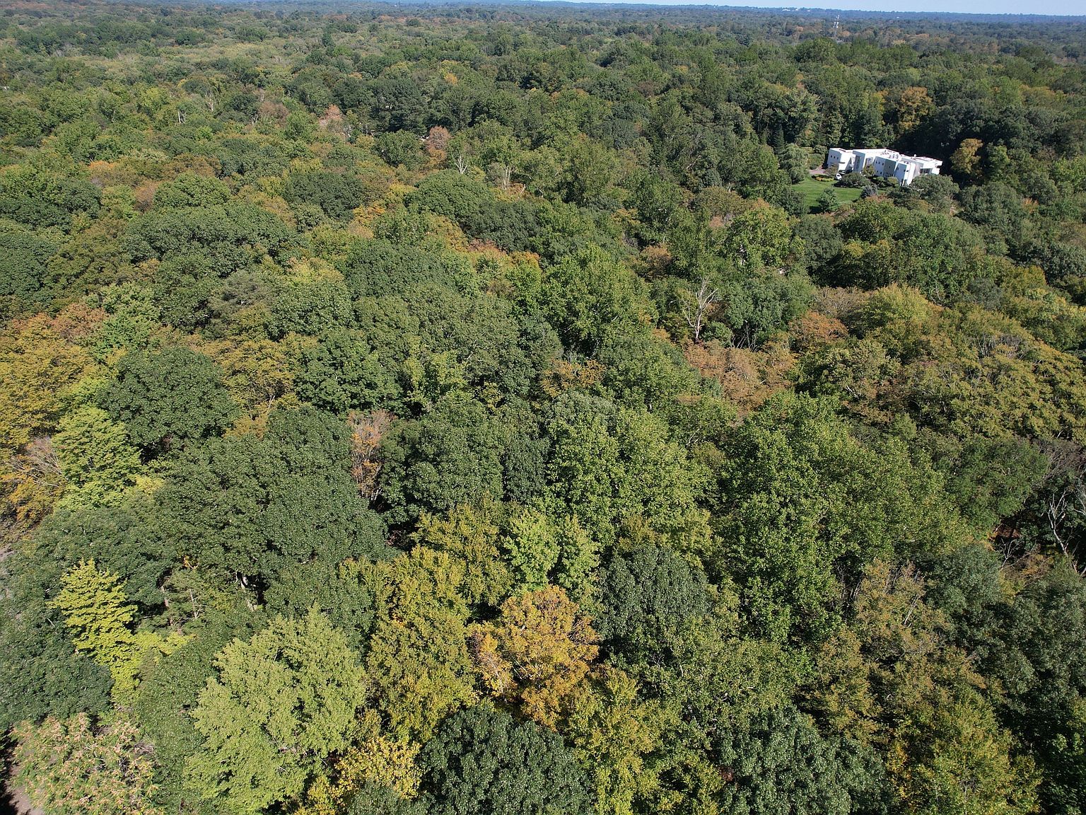 21 S Brook Dr Stamford, CT 06903 - Thumbnail 5