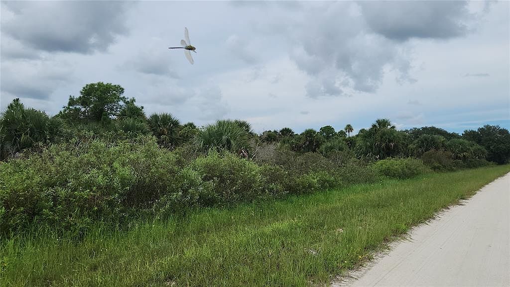 14988 NW 316th St Okeechobee, FL 34972 - Thumbnail 5