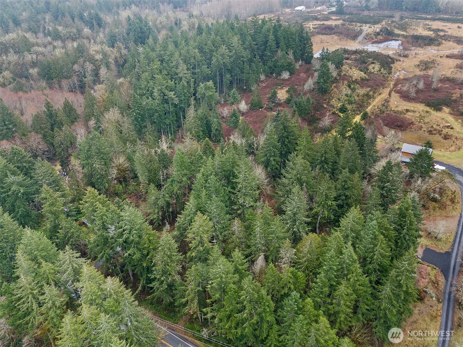 2641 28th Ave NW Olympia, WA 98502 - Thumbnail 5