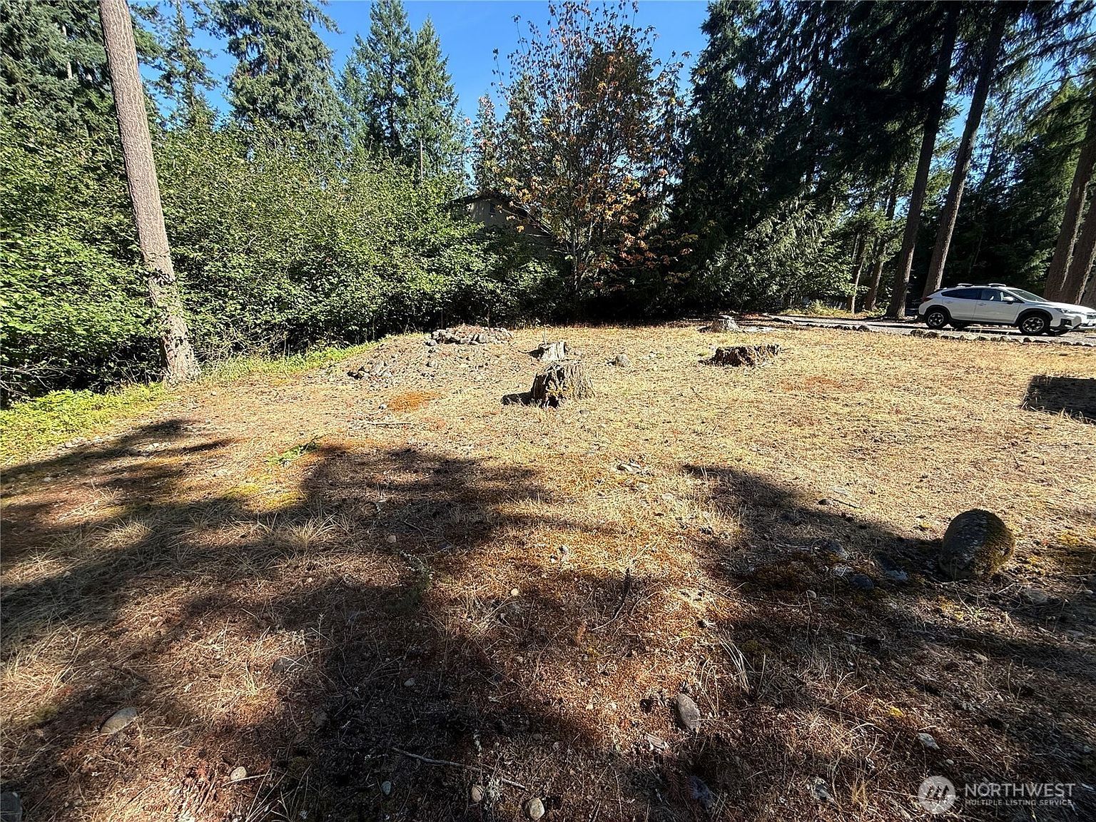 18313 Lofty Ct SE Yelm, WA 98597 - Thumbnail 5