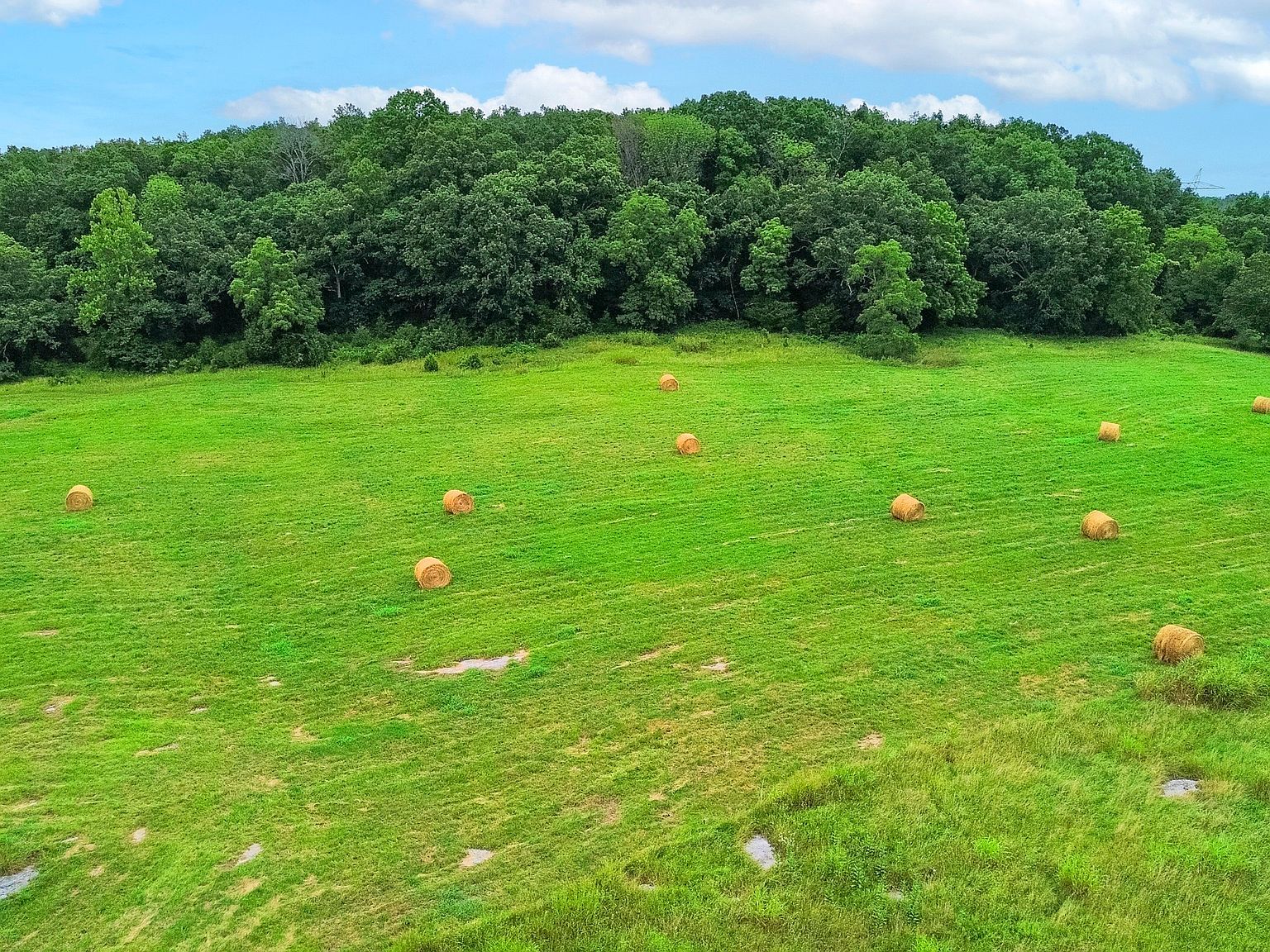 6677 Trousdale Ferry Pike Lebanon, TN 37090 - Thumbnail 5