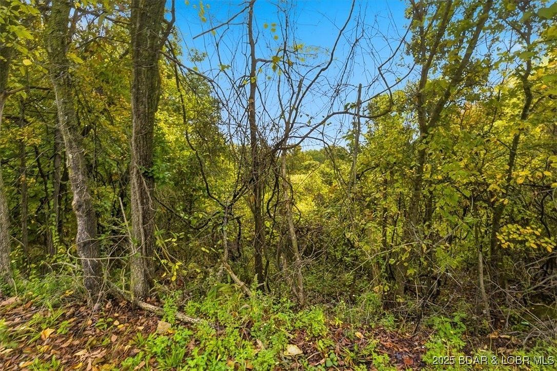 Hickory St Camdenton, MO 65020 - Thumbnail 5