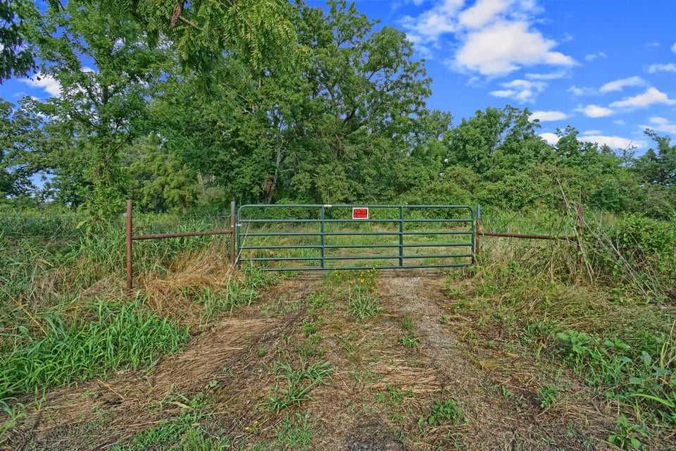 40 Acres HWY 27, Hector, AR, 72843 - Thumbnail 5