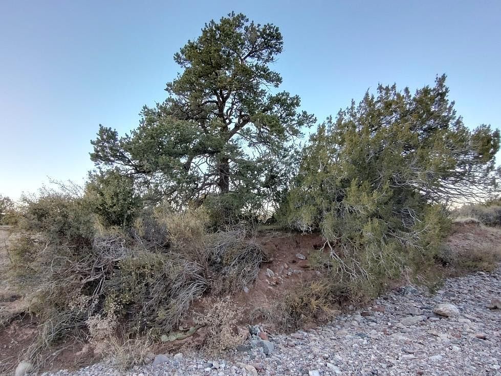 Road Runner Trl Mountainair, NM 87036 - Thumbnail 5