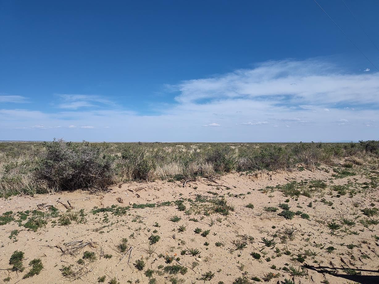 Ice Plant Ct Moriarty, NM 87035 - Thumbnail 5