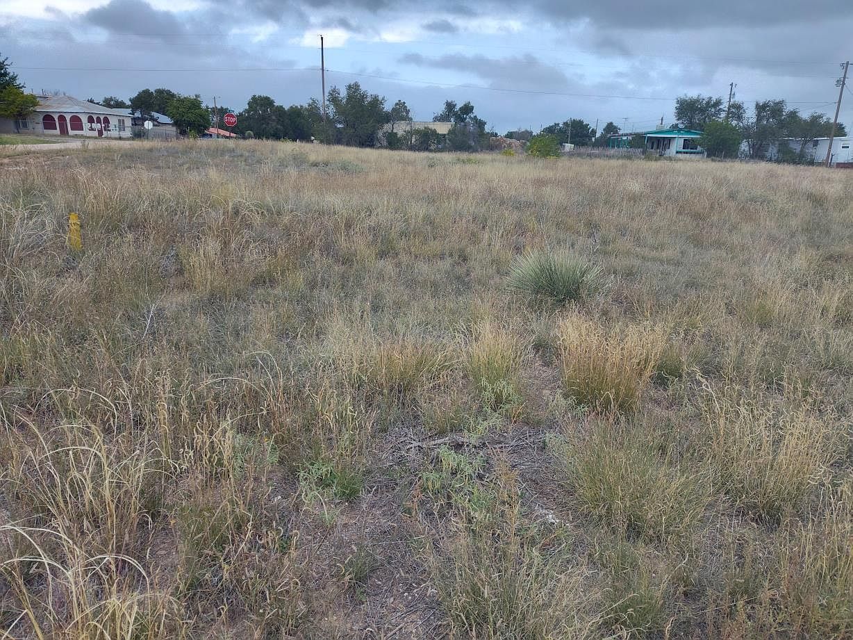 Broadway St E Mountainair, NM 87036 | Land/Lot