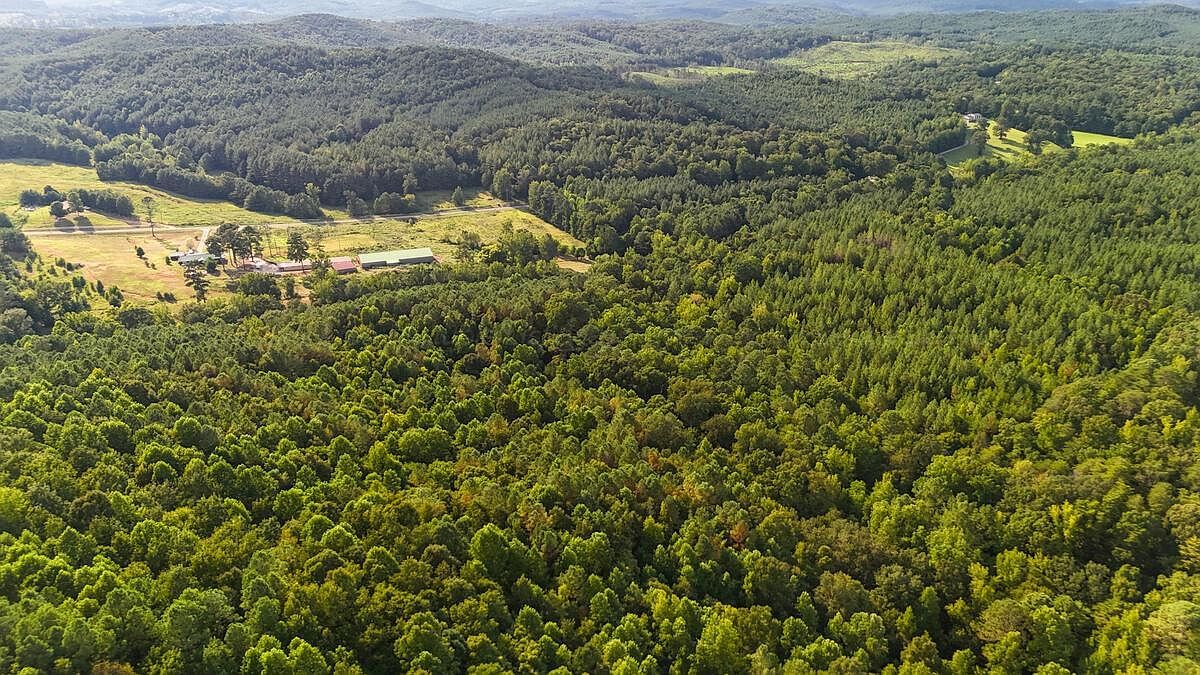 County Road 63 N Carbon Hill, AL 35549 - Thumbnail 5