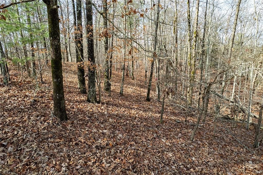 533 Marque Ln NE #533 Ranger, GA 30734 - Thumbnail 5