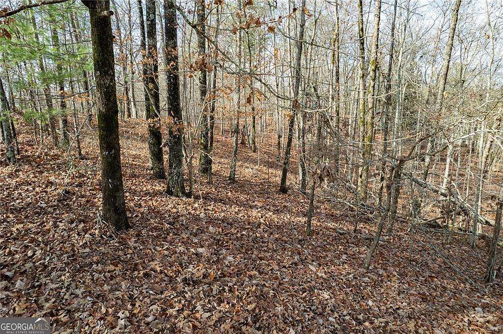 533 Marque Ln NE Ranger, GA 30734 - Thumbnail 5