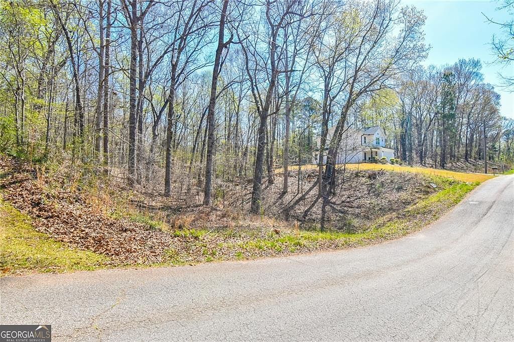 0 Arrow Ln Lavonia, GA 30553 - Thumbnail 5