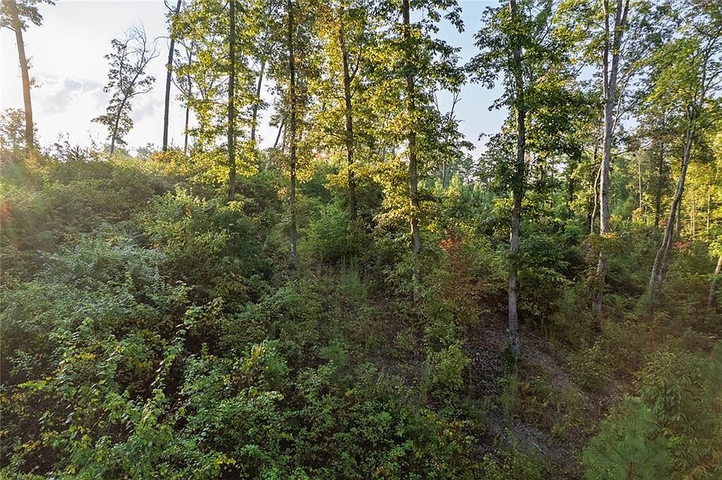 0 High River Rd #105 Ellijay, GA 30540 - Thumbnail 5