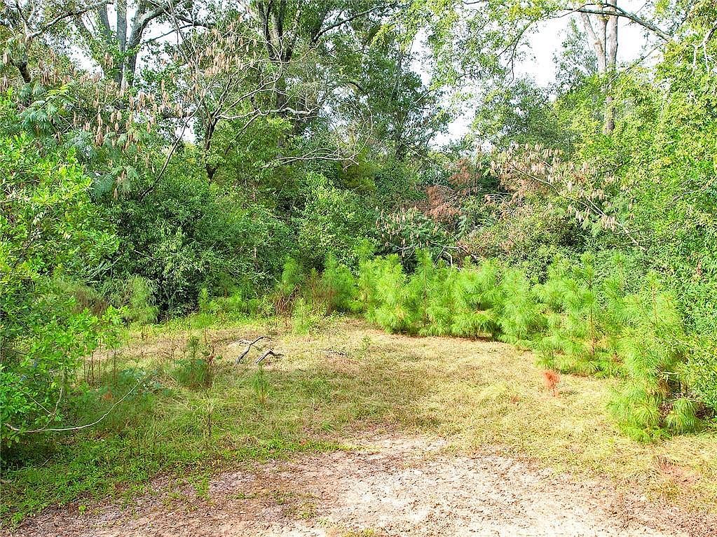 0 Laurel Dr Louisville, GA 30434 - Thumbnail 5