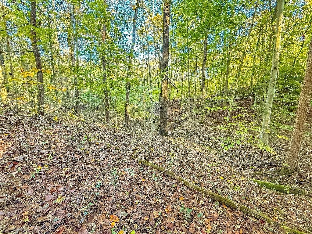 9369 Sherwood Ct #43 Toccoa, GA 30577 - Thumbnail 5