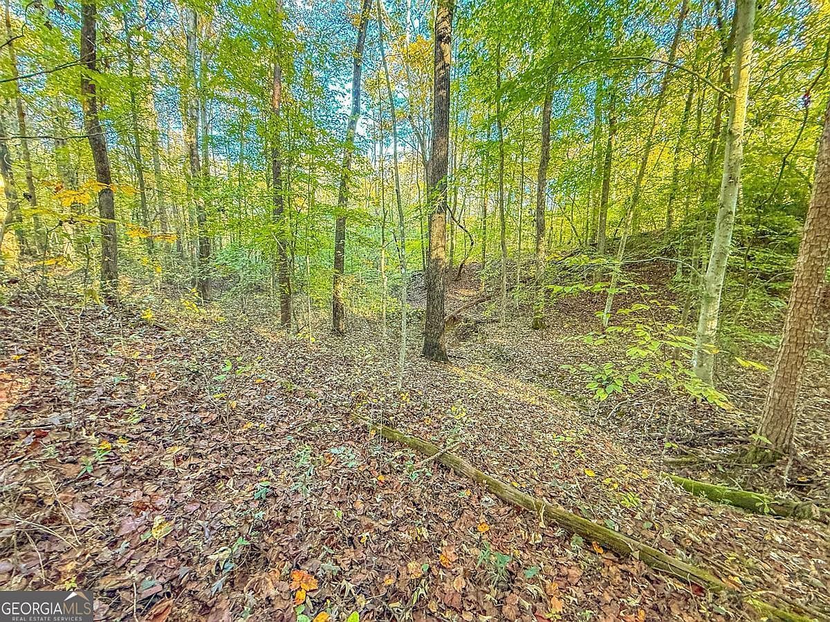 9369 Sherwood Ct Toccoa, GA 30577 - Thumbnail 5