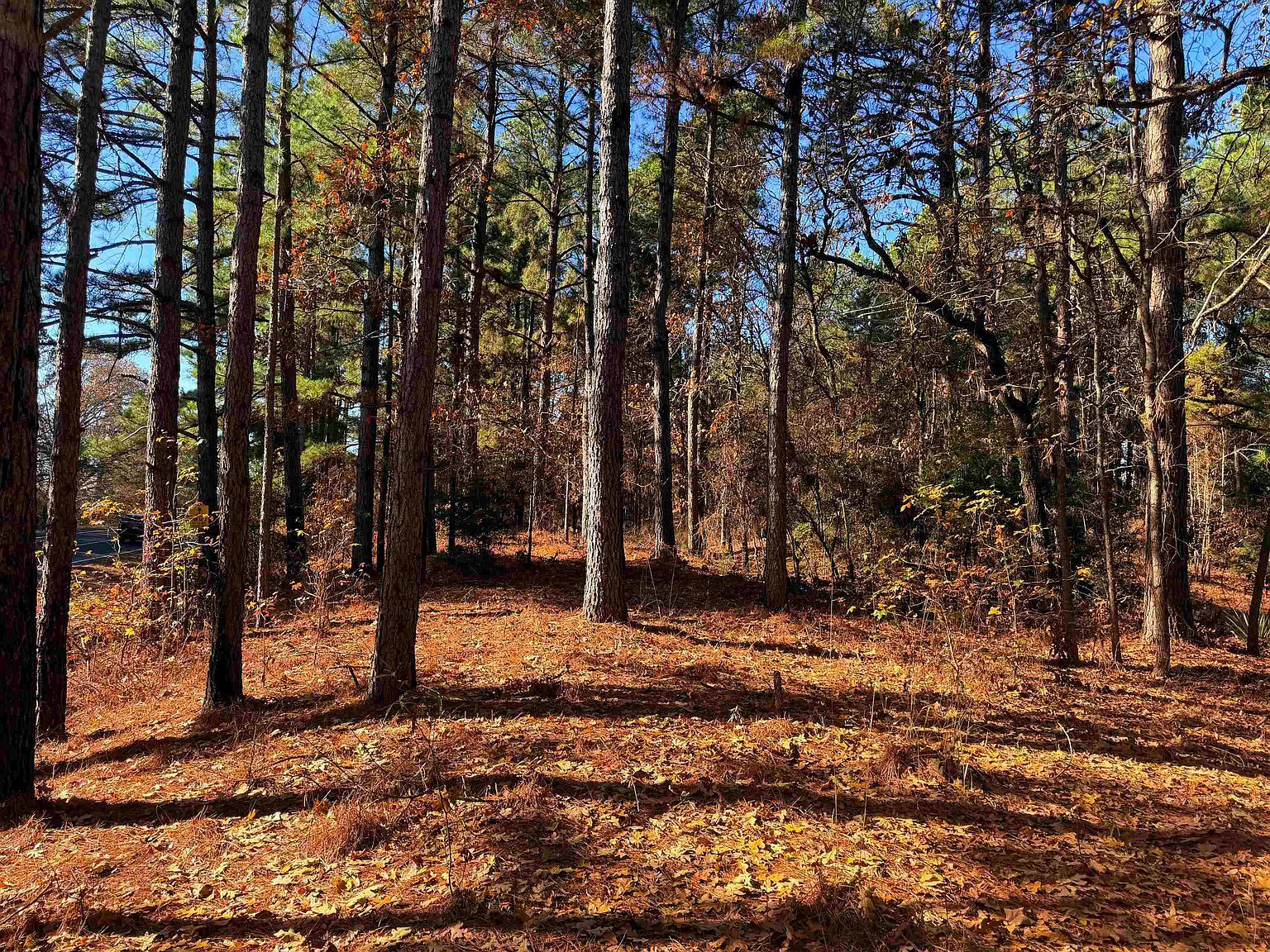 Fm 726 #3 Jefferson, TX 75657 - Thumbnail 5