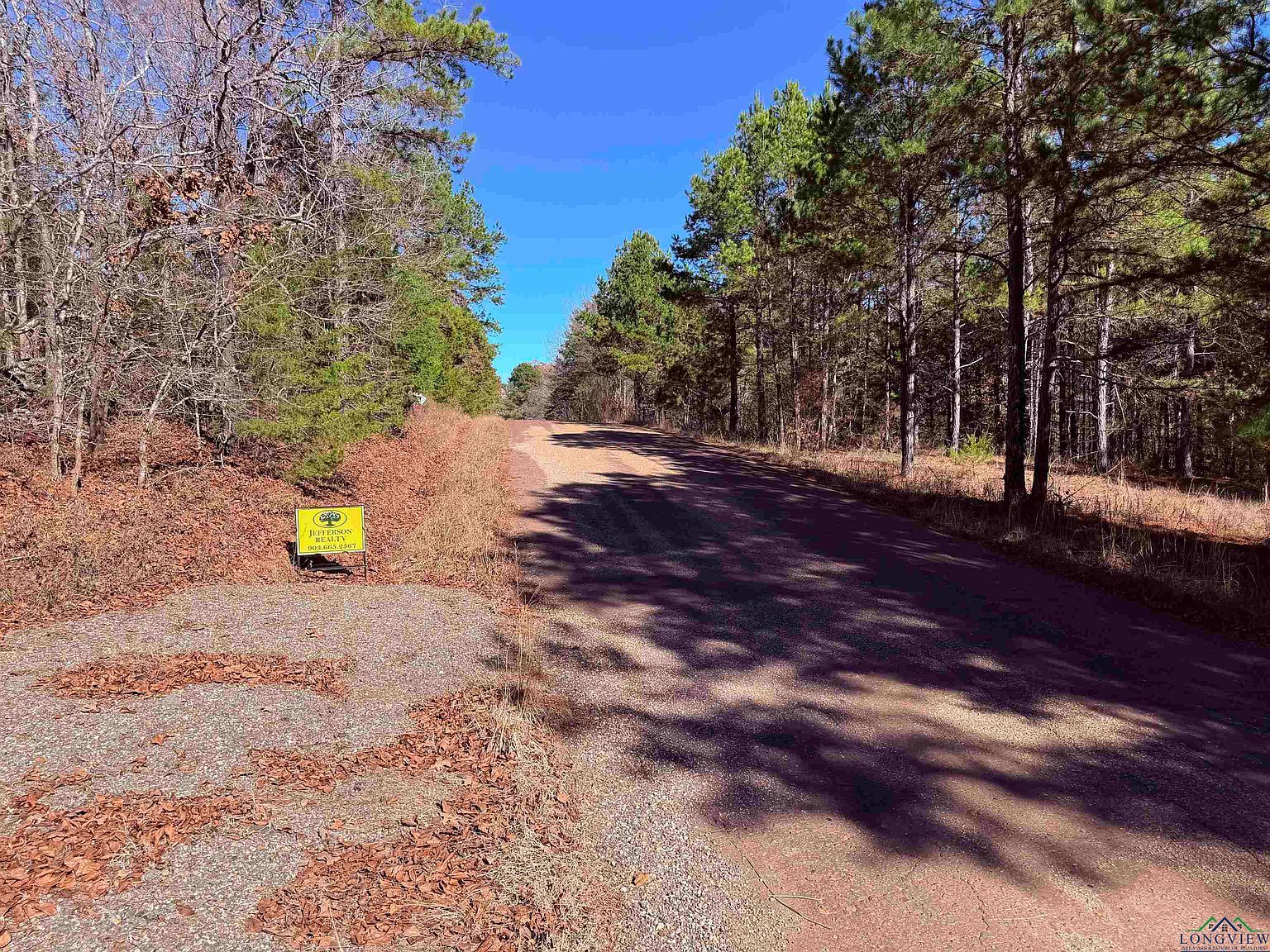 1512 Victory School Rd Avinger, TX 75630 - Thumbnail 5