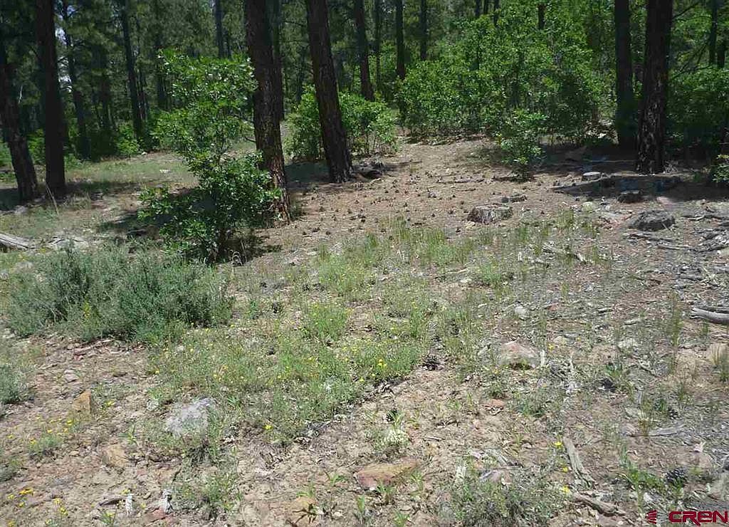 966 Starling Cir Pagosa Springs, CO 81147 - Thumbnail 5