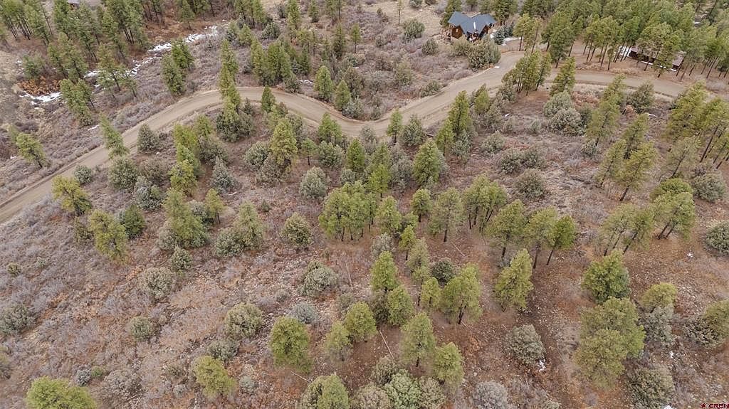 199 Starling Cir Pagosa Springs, CO 81147 - Thumbnail 5