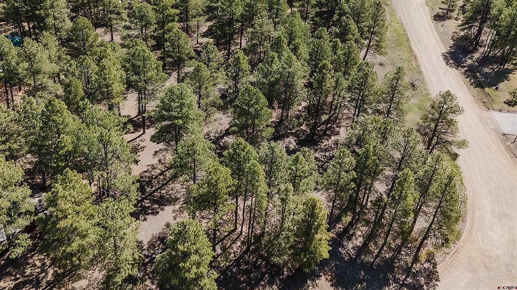 57 Martinez Pl Pagosa Springs, CO 81147 - Thumbnail 5