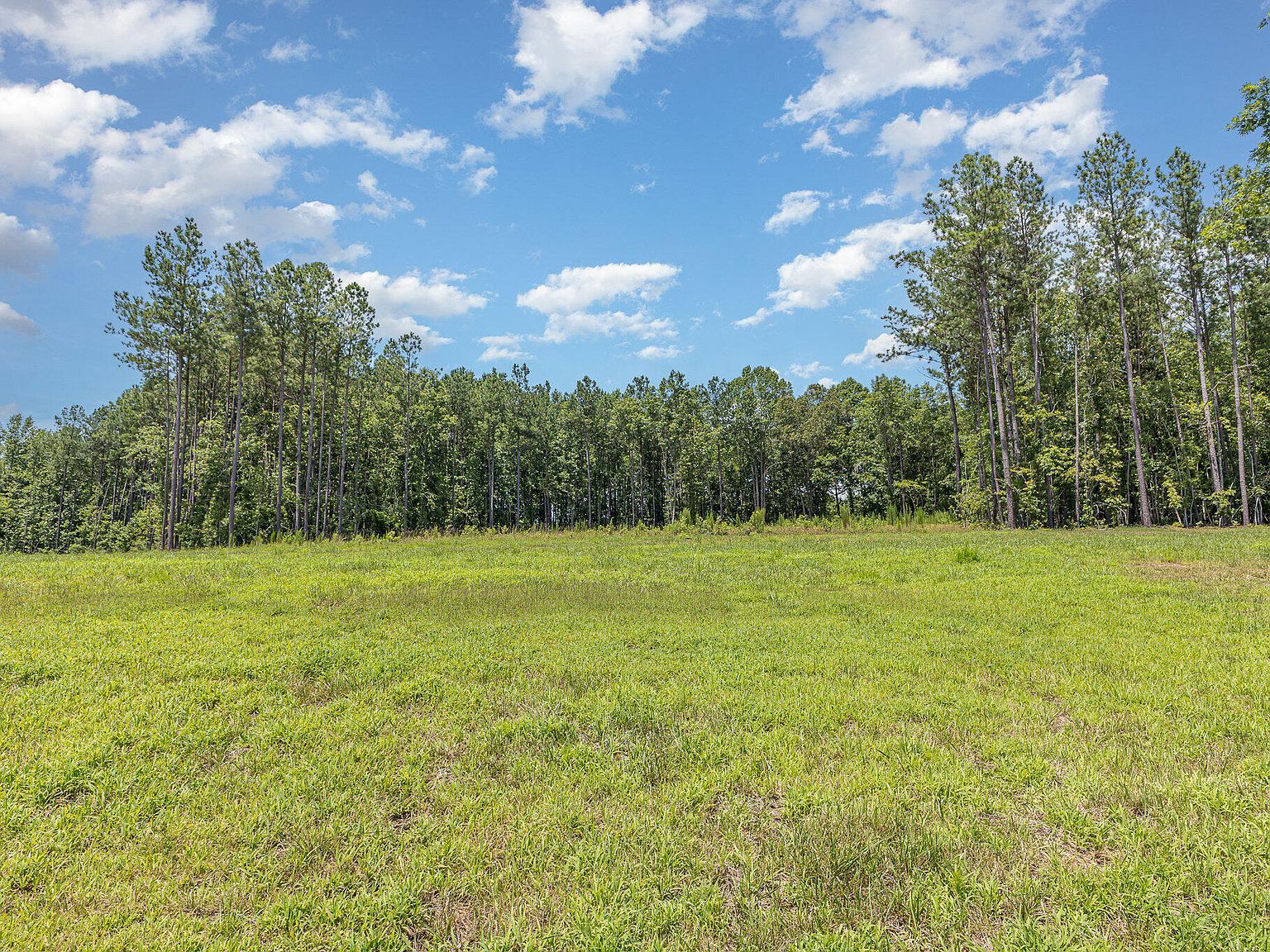 230 Bealy Farm Rd #2 Zebulon, NC 27597 - Thumbnail 5