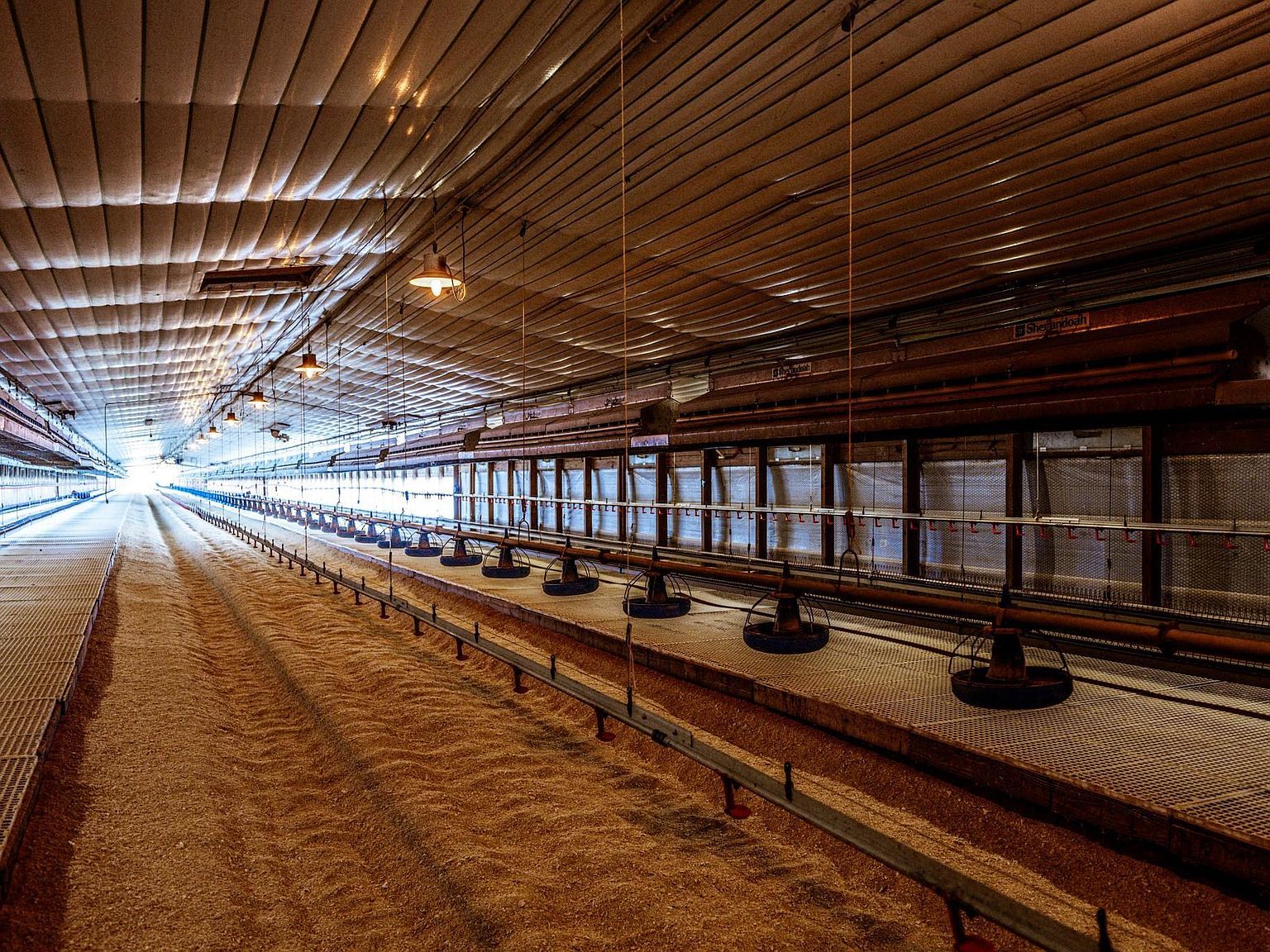 3585 County Road 2701 Tennessee Colony, TX 75861 - Thumbnail 5