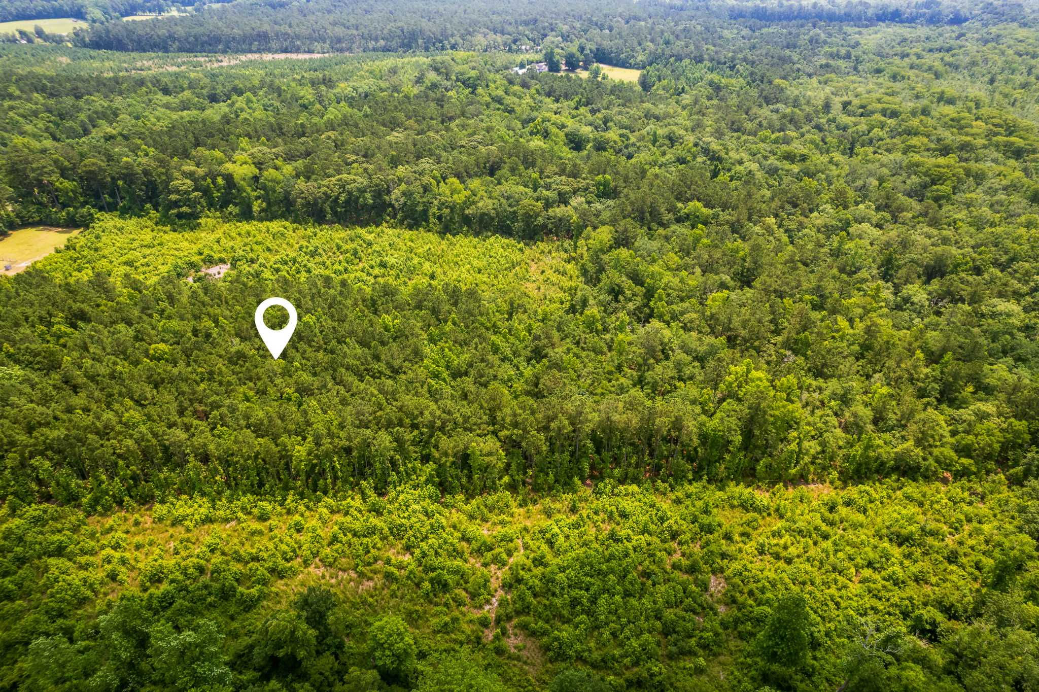 Lot 2 near Palmer's Branch Drive NE, Leland, 28451 - Thumbnail 5