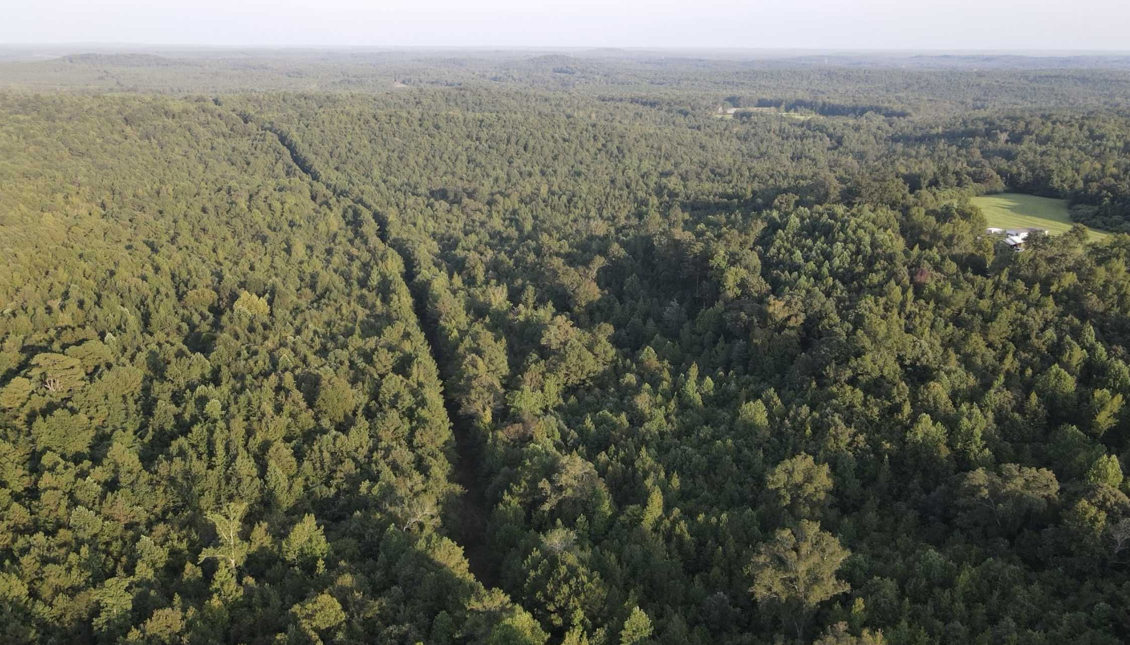 AL-17, Millport, AL, USA, 35576 - Thumbnail 5