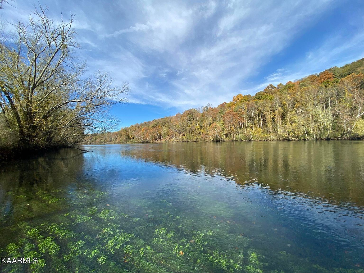 311 Ross Cemetery Rd Rocky Top, TN 37769 - Thumbnail 5