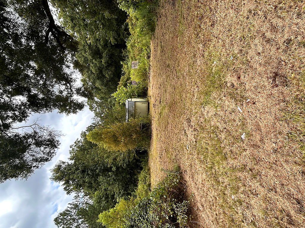 1941 Mora Rd Willacoochee, GA 31650 - Thumbnail 5