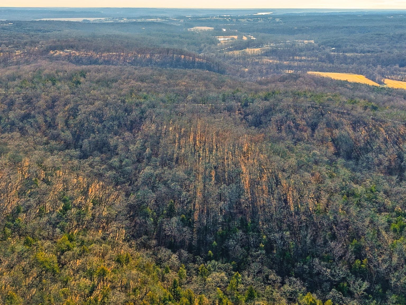 County Road 449 Steedman, MO 65077 - Thumbnail 5