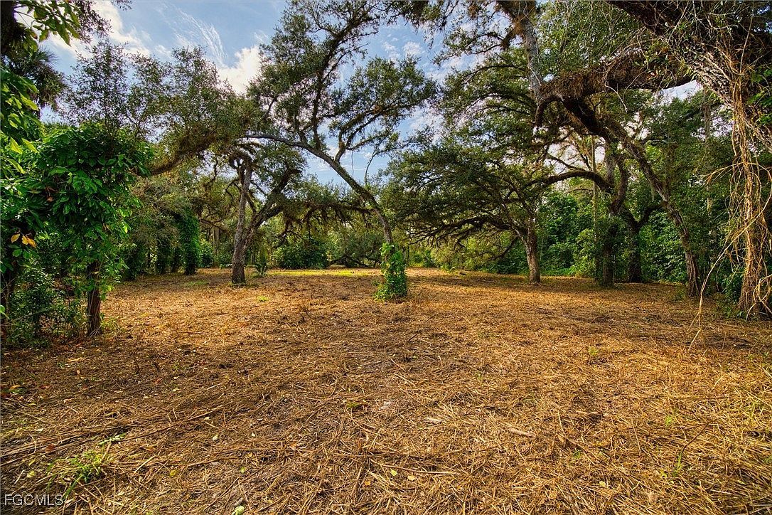 14221 River Rd Fort Myers, FL 33905 - Thumbnail 5